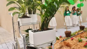 أشجار ذكية في السعودية تحول 25 ألف مدرسة إلى غابات مراقبة ومستدامة